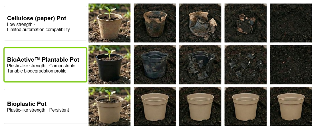 Biodegradation comparison: Cellulose pot, BioActive Plantable Pot, and Bioplastic Pot over time